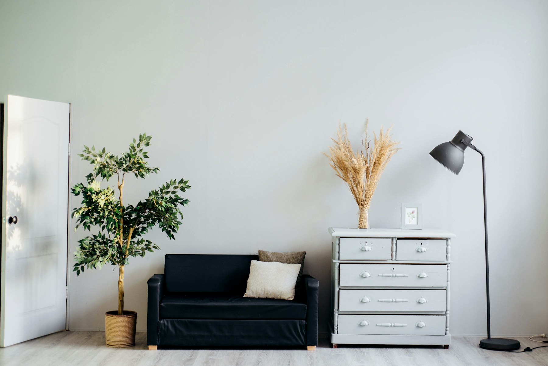 Indoor greenery in a lived-in home